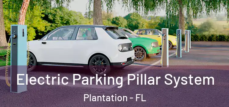  Electric Parking Pillar System Plantation - FL