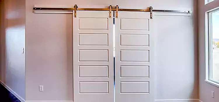 Glass Barn Door with Installation Hardware Kit Plantation