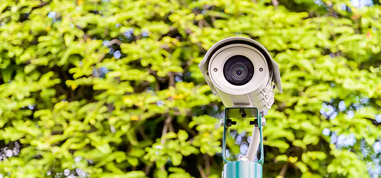 Advanced Surveillance Solutions for Every Need in Plantation