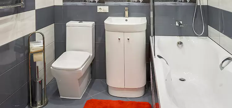 Hansgrohe Shaving Mirror Plantation